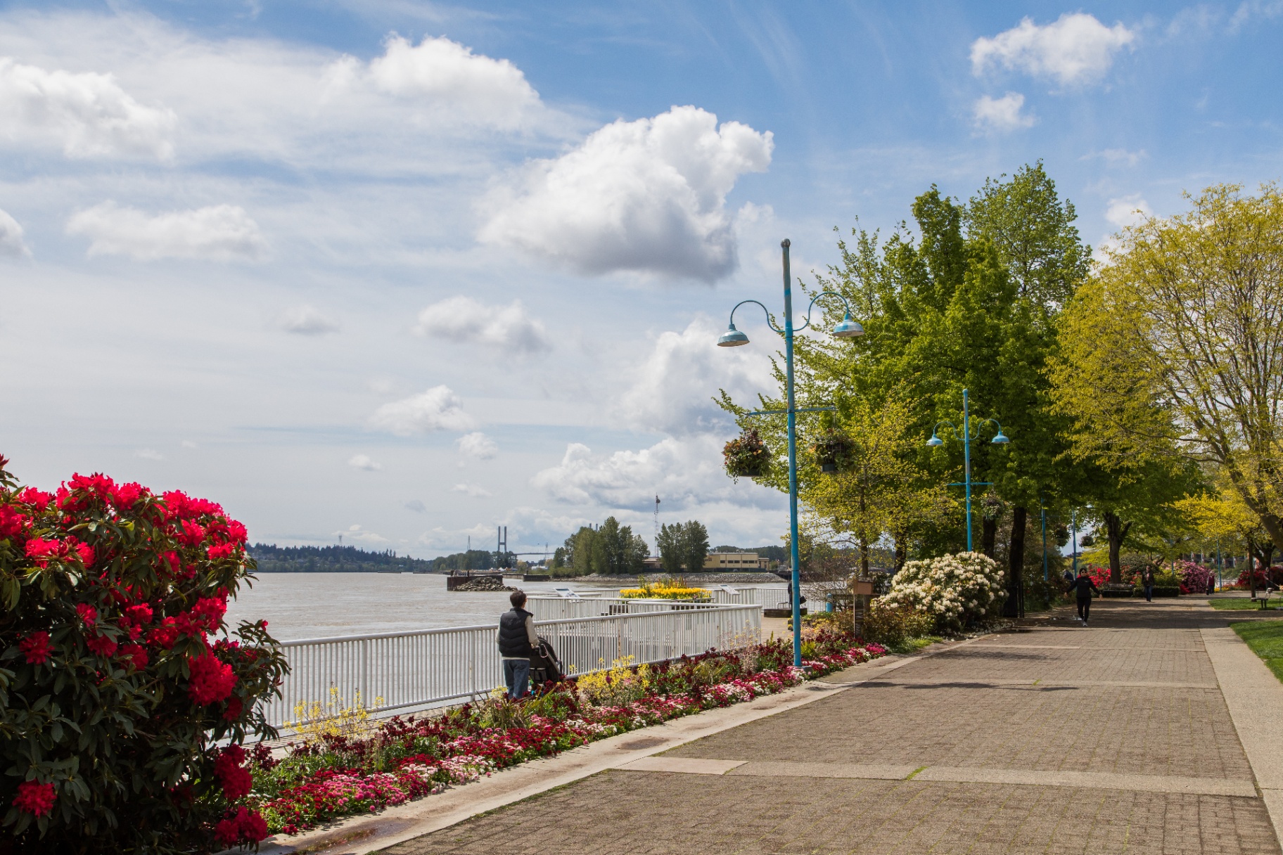 Fraser River waterfront boardwalk