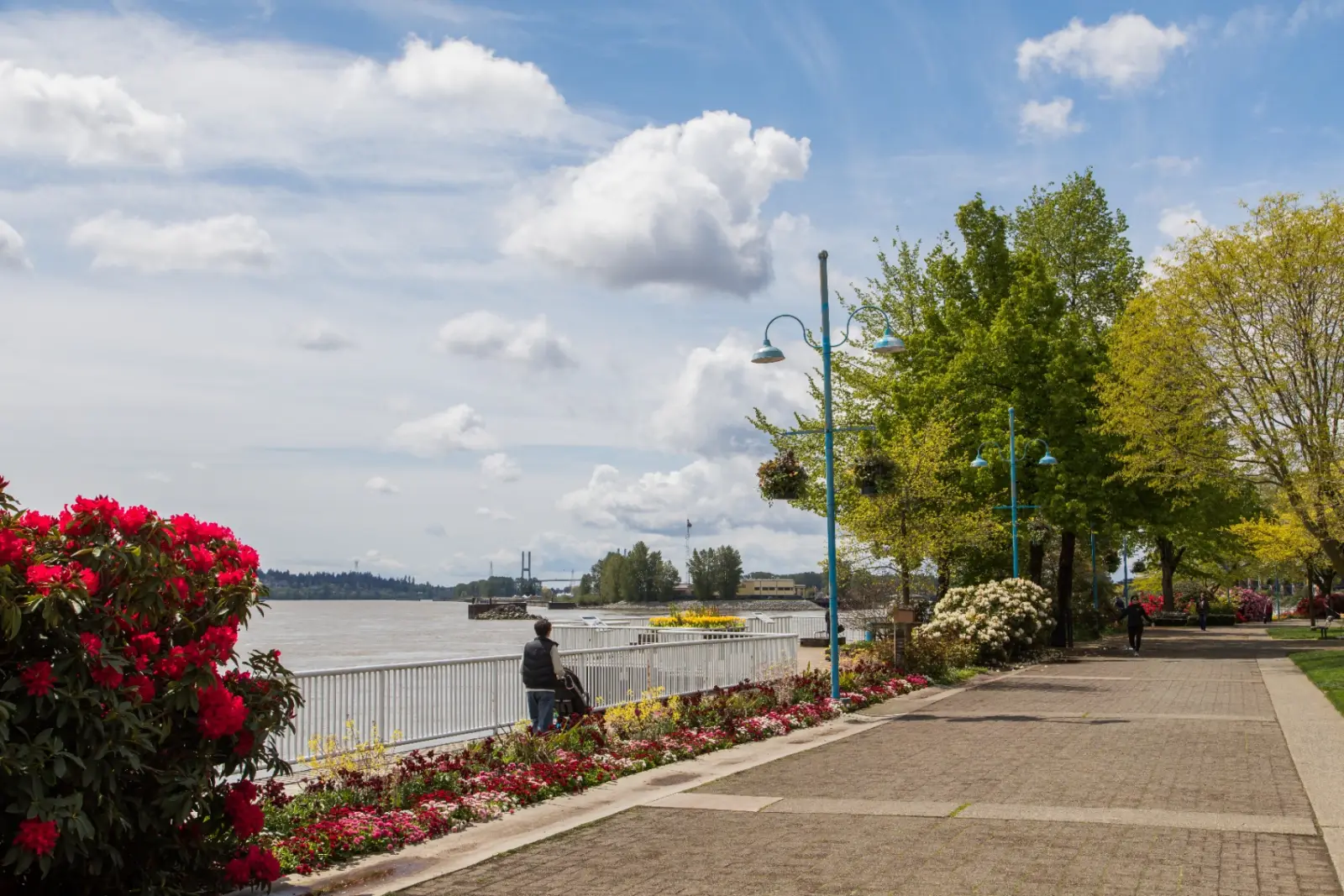 Fraser River waterfront boardwalk