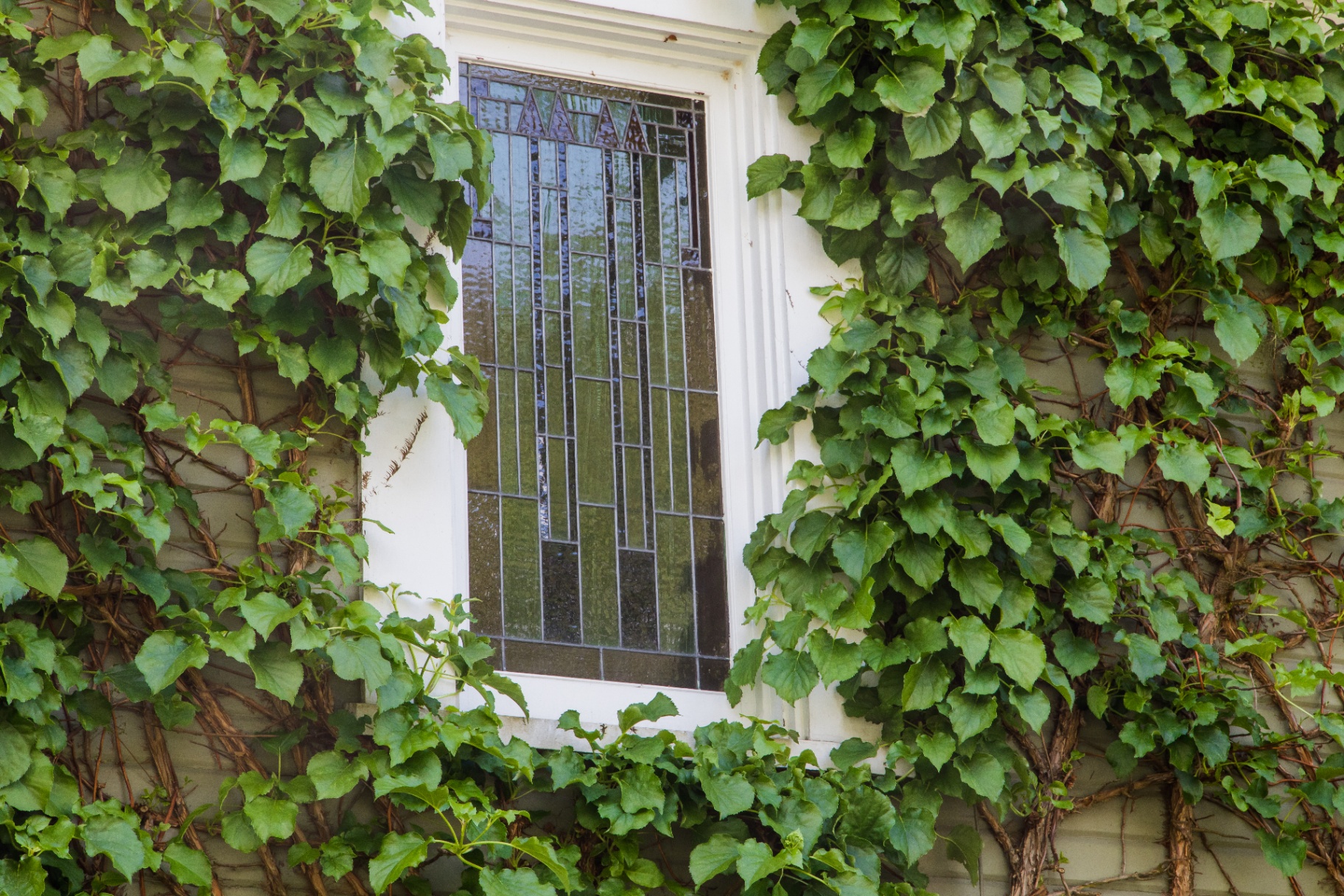 Original leaded glass window detail from 1890